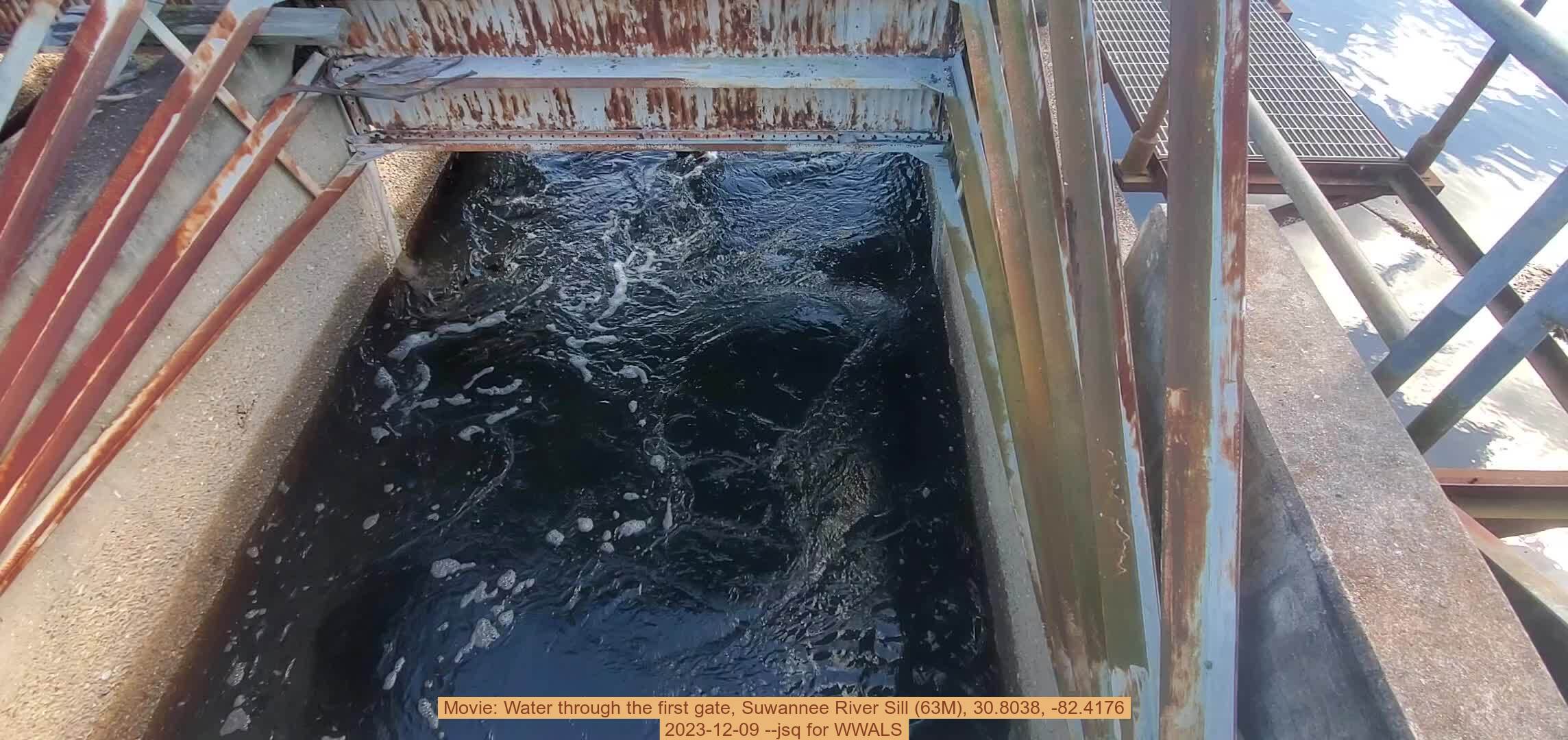 Movie: Water through the first gate, Suwannee River Sill (63M), 30.8038, -82.4176, 2023-12-09 --jsq for WWALS