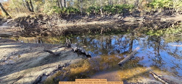 [Context, Withlacoochee Trickle, 2025:11:17 09:24:56, 31.0131025, -83.3015093 --jsq for WWALS]