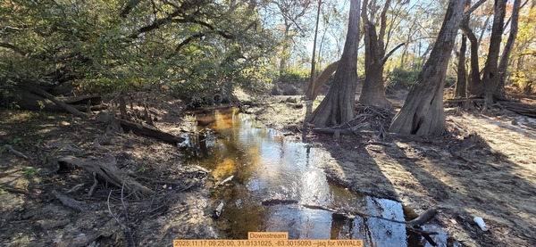 [Downstream, 2025:11:17 09:25:00, 31.0131025, -83.3015093 --jsq for WWALS]