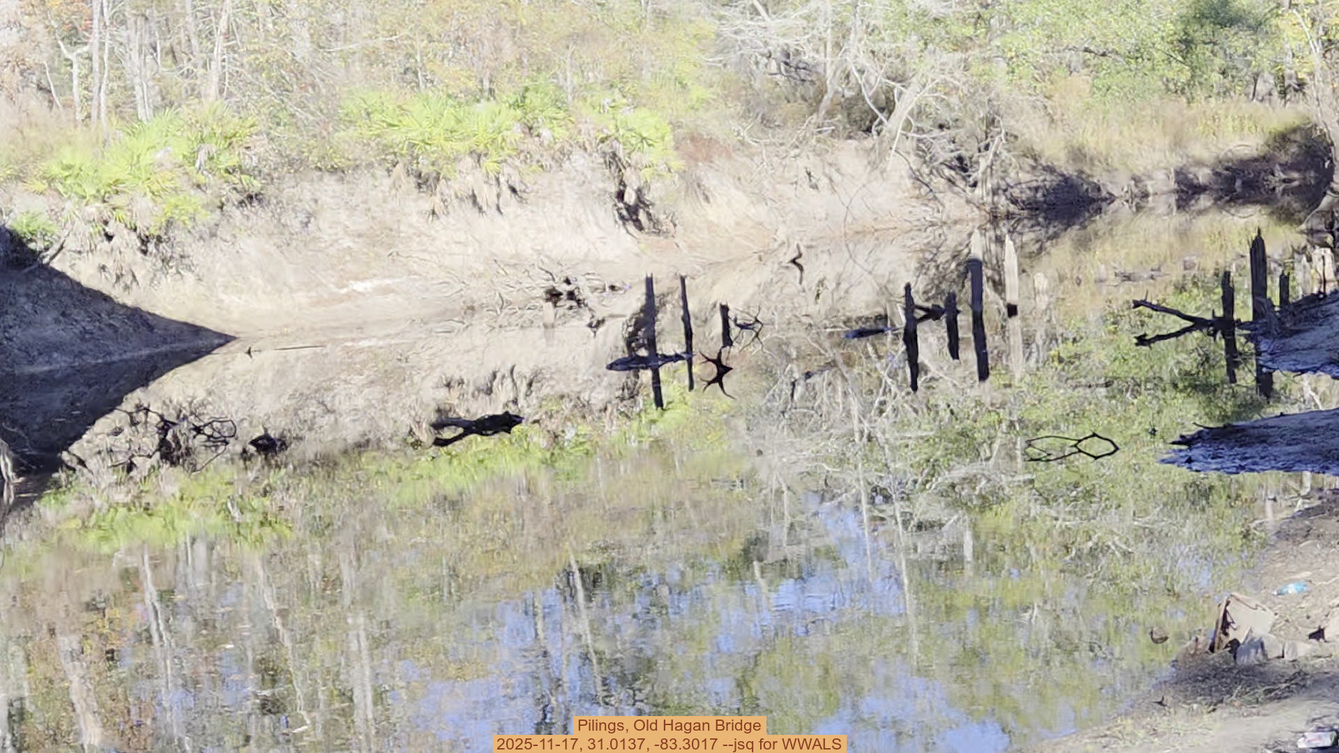 Pilings, Old Hagan Bridge, 2025-11-17, 31.0137, -83.3017 --jsq for WWALS