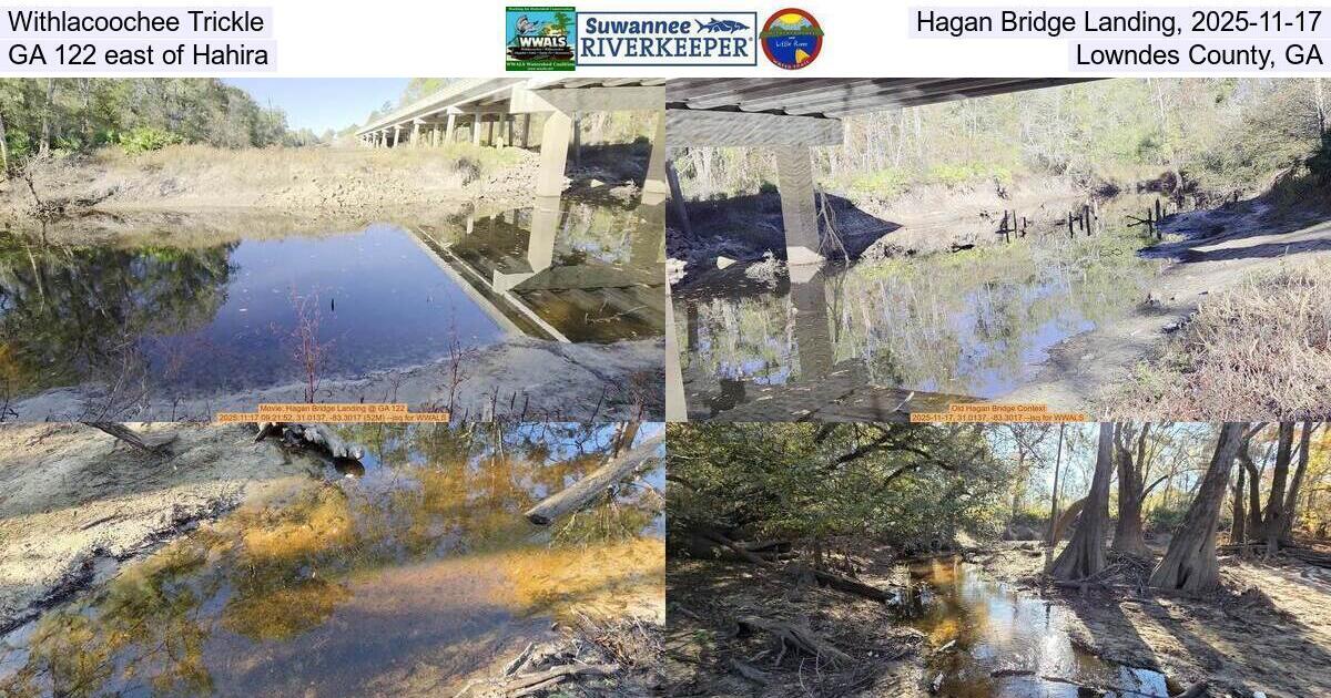 [Withlacoochee Trickle, Hagan Bridge Landing, 2025-11-17, GA 122 east of Hahira, Lowndes County, GA]