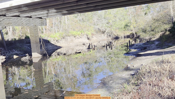 [Old Hagan Bridge Context, 2025-11-17, 31.0137, -83.3017 --jsq for WWALS]