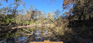 [Upstream, 2025:11:17 09:24:58, 31.0131025, -83.3015093 --jsq for WWALS]