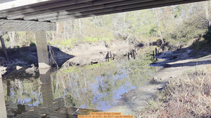 [Old Hagan Bridge Context, 2025-11-17, 31.0137, -83.3017 --jsq for WWALS]