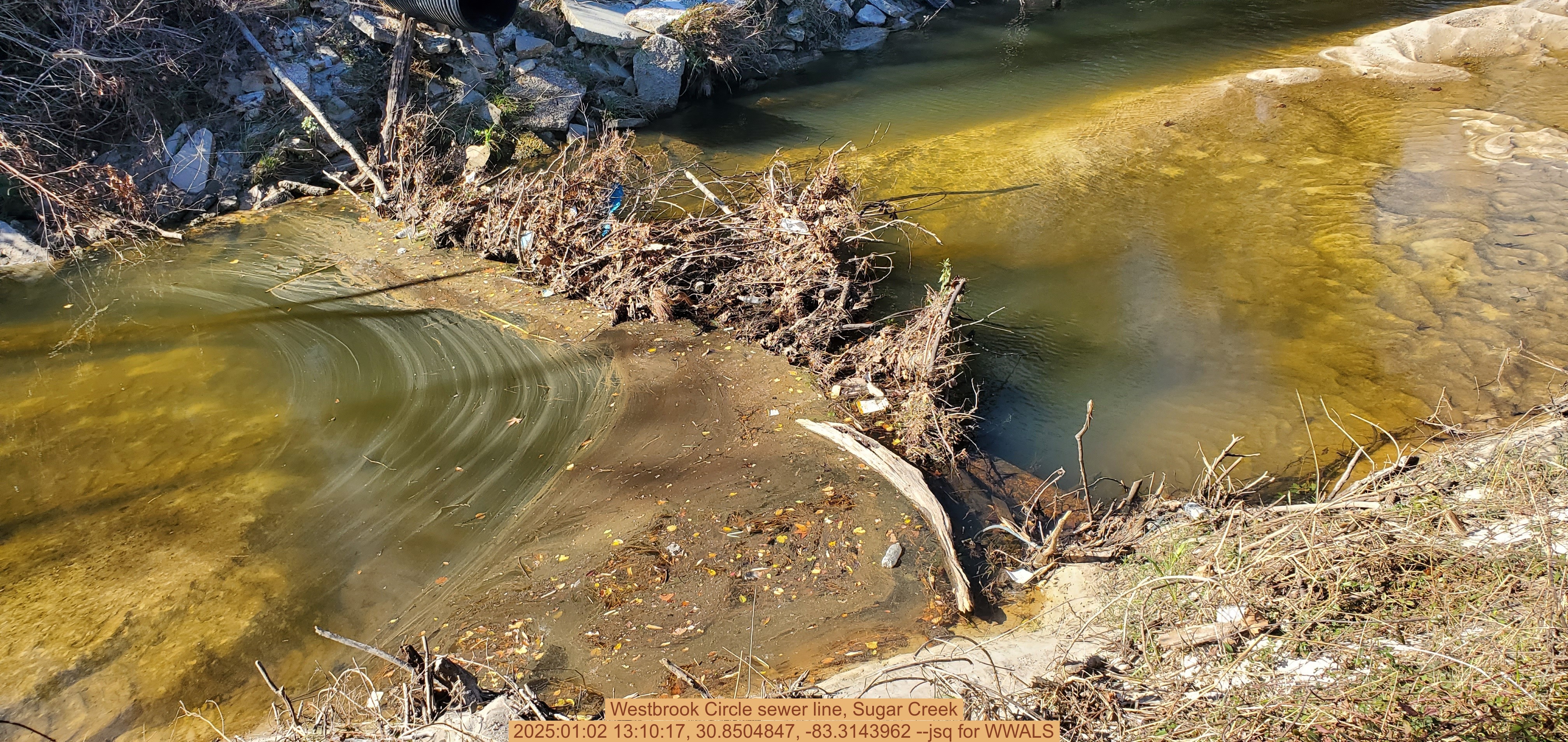 Westbrook Circle sewer line, Sugar Creek, 2025:01:02 13:10:17, 30.8504847, -83.3143962 --jsq for WWALS