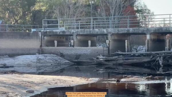 [Movie: First gate, Suwannee River Sill (5.6M), 2025-11-15 --Shirley Kokidko for WWALS]