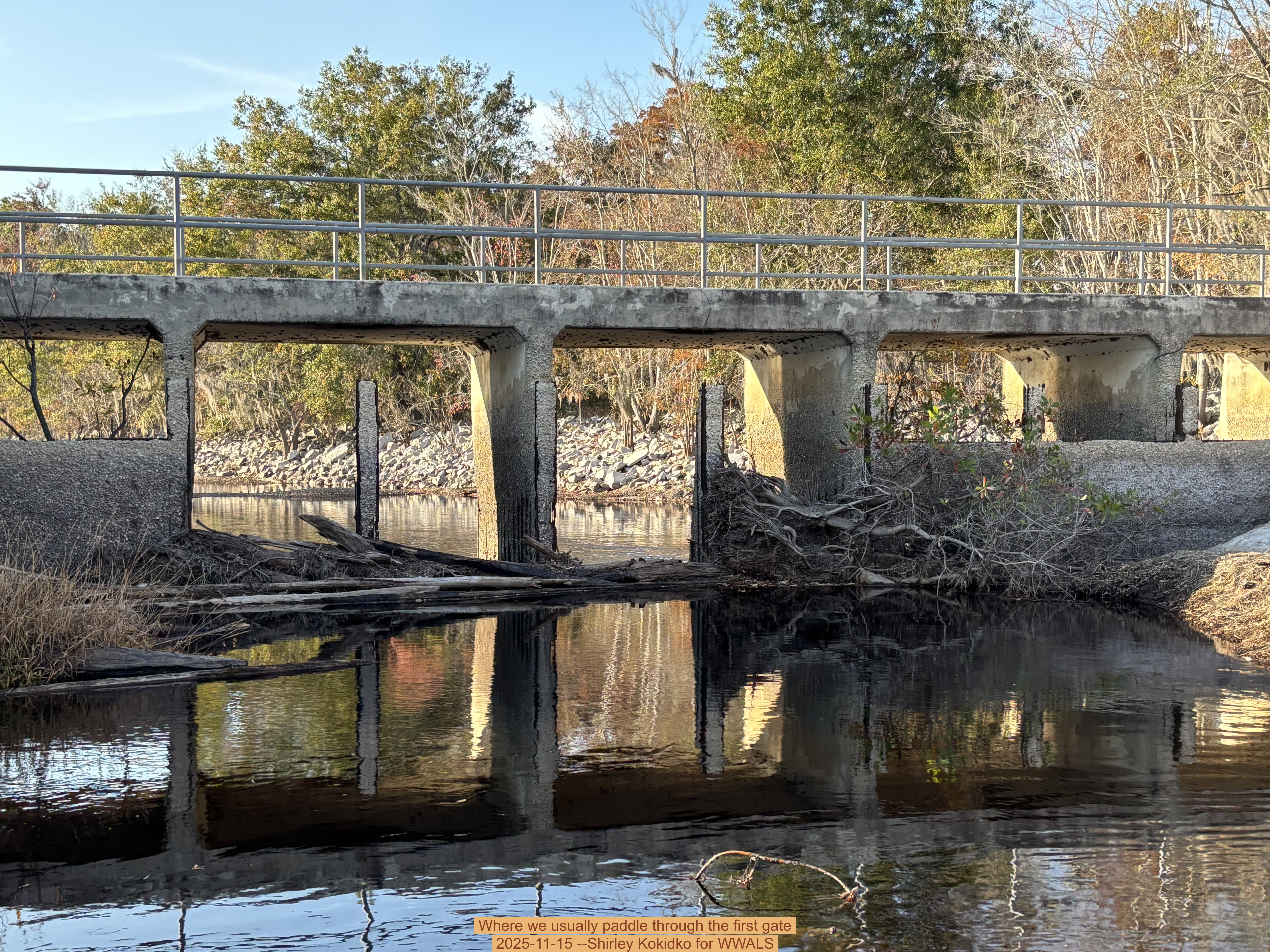 Where we usually paddle through the first gate, 2025-11-15 --Shirley Kokidko for WWALS