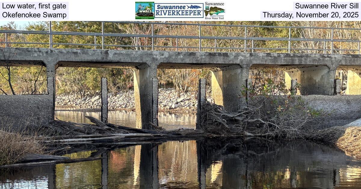 [Low water, first gate, Suwannee River Sill, Okefenokee Swamp, Thursday, November 20, 2025]