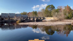 [Wide view, 2025-11-15 --Shirley Kokidko for WWALS]