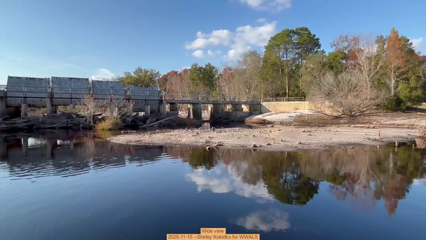 [Wide view, 2025-11-15 --Shirley Kokidko for WWALS]