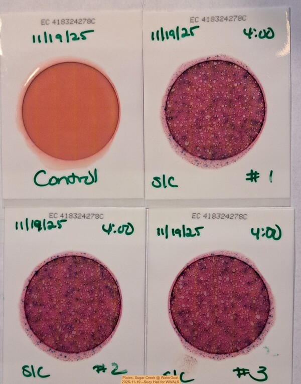 Plates, Sugar Creek @ WaterGoat 2025-11-19 --Suzy Hall for WWALS