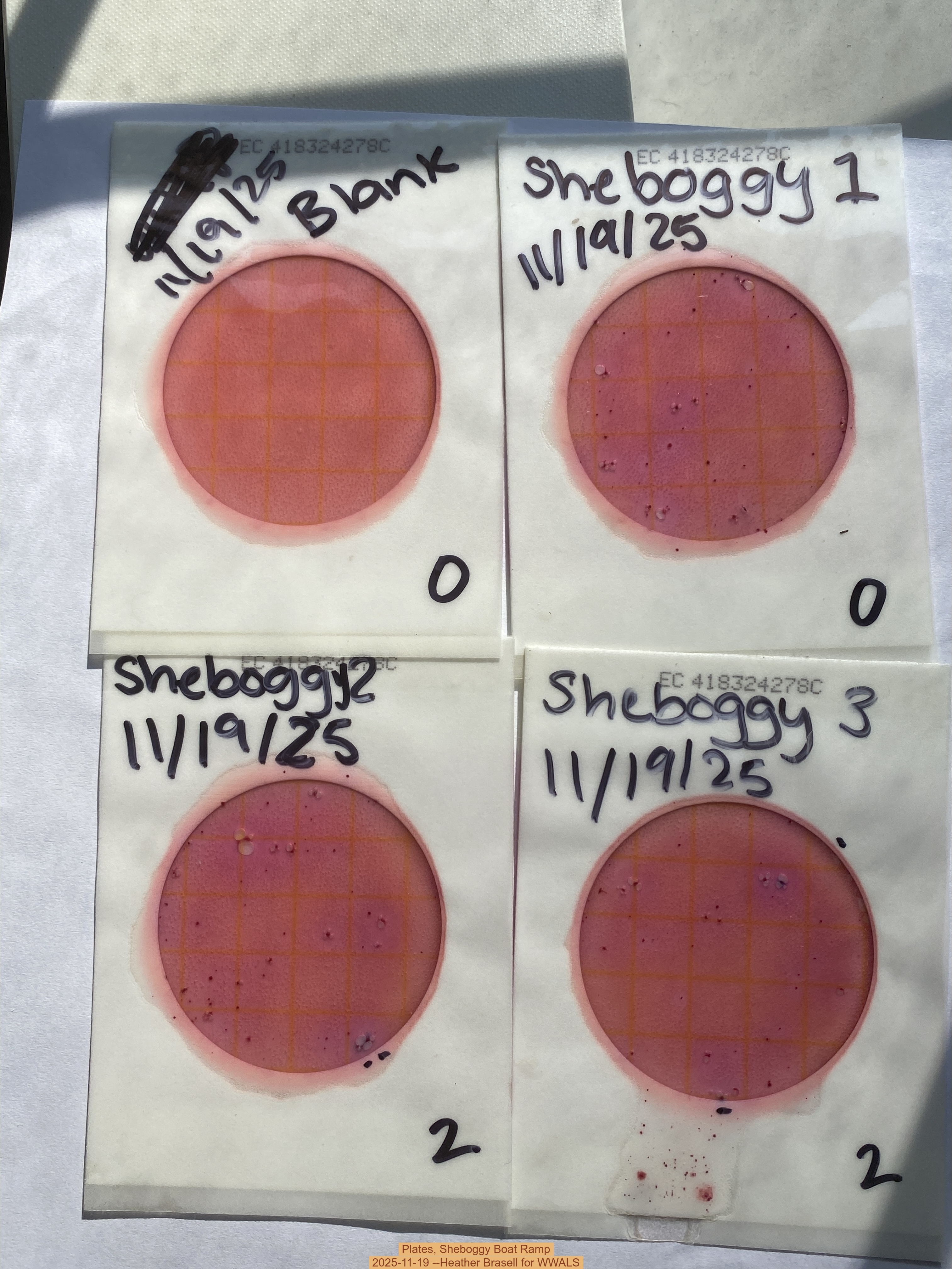 Plates, Sheboggy Boat Ramp 2025-11-19 --Heather Brasell for WWALS
