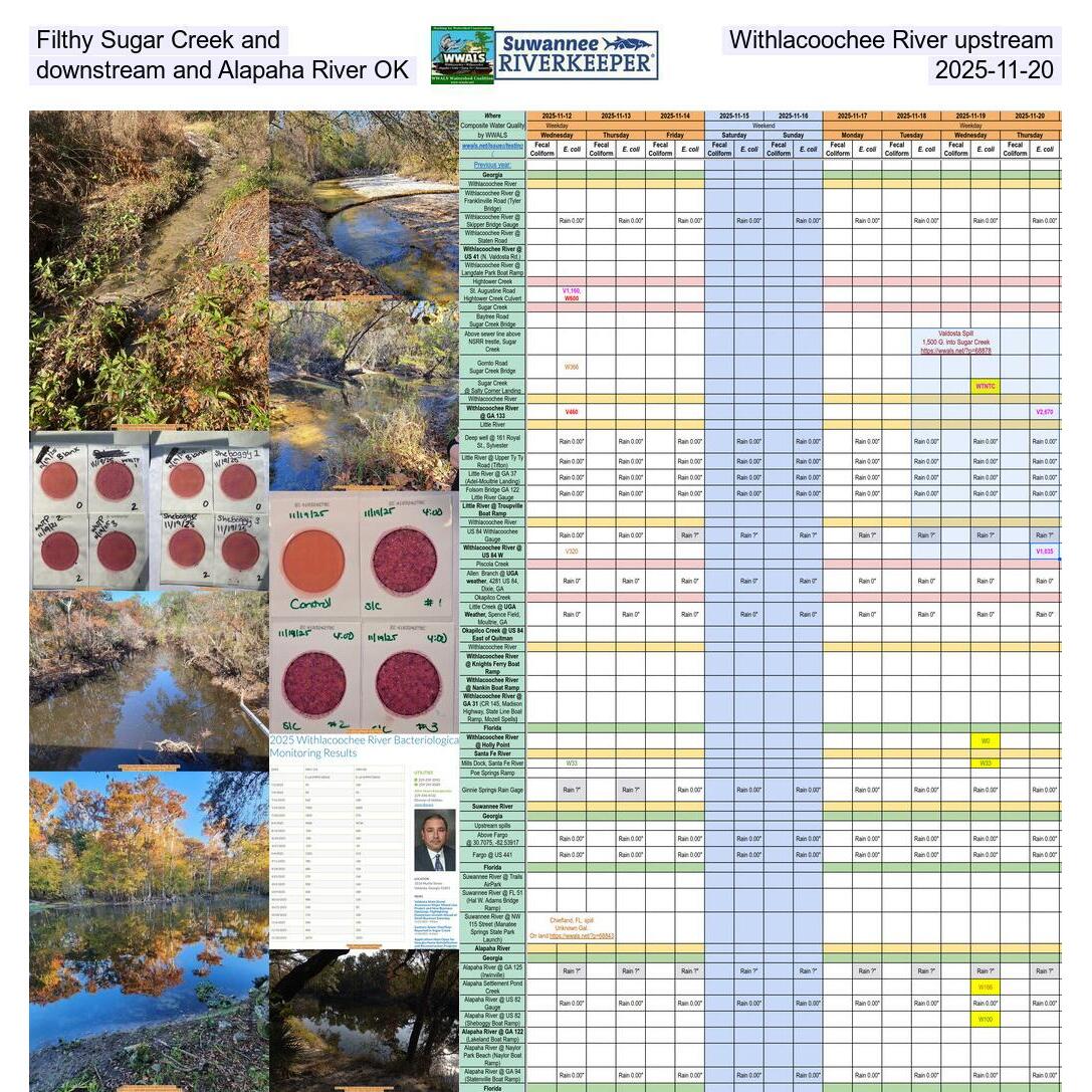 Filthy Sugar Creek and Withlacoochee River upstream, downstream and Alapaha River OK, 2025-11-20