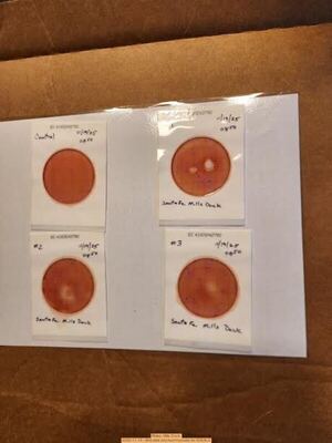 [Plates, Mills Dock 2025-11-19 --Bob Mills and Kurt Hurzeler for WWALS]