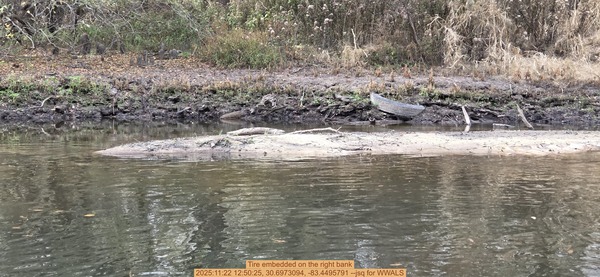 [Tire embedded on the right bank, 2025:11:22 12:50:25, 30.6973094, -83.4495791 --jsq for WWALS]