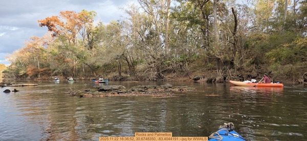 Rocks and Palmettos, 2025:11:22 16:36:52, 30.6748350, -83.4044191 --jsq for WWALS