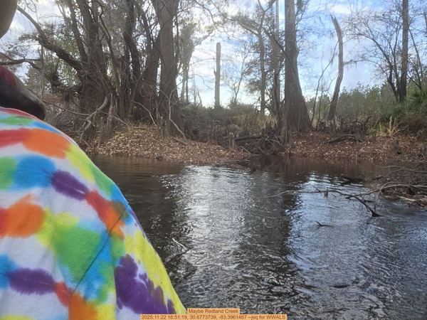 [Maybe Redland Creek, 2025:11:22 16:51:19, 30.6773739, -83.3961467 --jsq for WWALS]