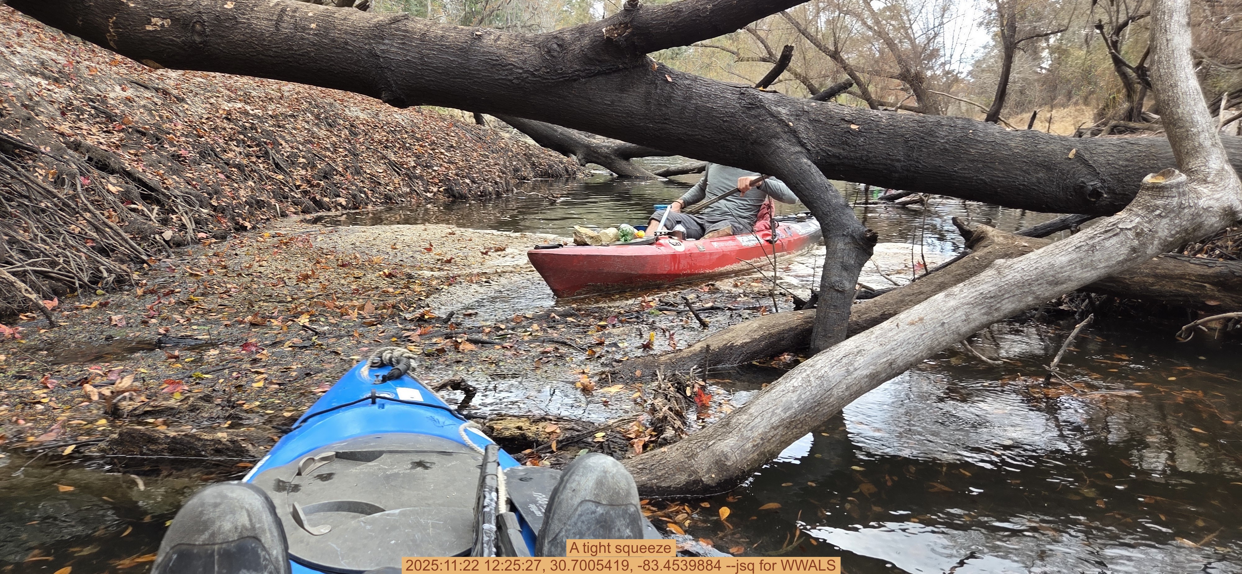 A tight squeeze, 2025:11:22 12:25:27, 30.7005419, -83.4539884 --jsq for WWALS