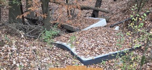 [Mattresses in the creek, 2025:11:22 08:59:58, 30.7127665, -83.4556261 --jsq for WWALS]