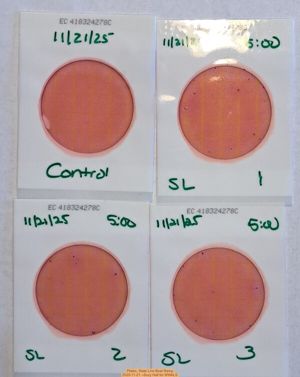 Plates, State Line Boat Ramp 2025-11-21 --Suzy Hall for WWALS