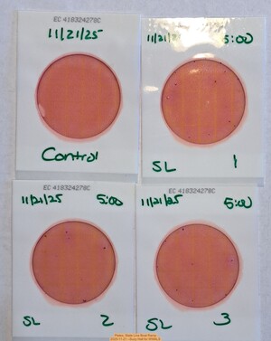 [Plates, State Line Boat Ramp 2025-11-21 --Suzy Hall for WWALS]