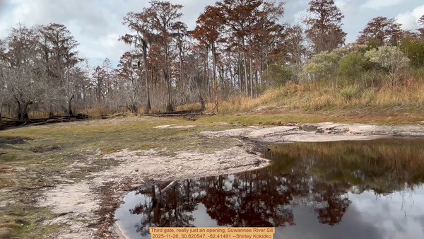 [Third gate, really just an opening, Suwannee River Sill, 2025-11-26, 30.820547, -82.41491 --Shirley Kokidko]