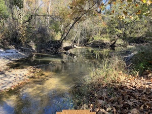 [Two Mile Branch @ Sugar Creek, 2025-11-19 --Gretchen Quarterman for WWALS]