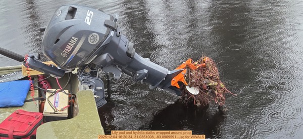 [Lily pad and hydrilla stalks wrapped around prop, 2025:12:04 16:20:34, 31.0351008, -83.0969591 --jsq for WWALS]