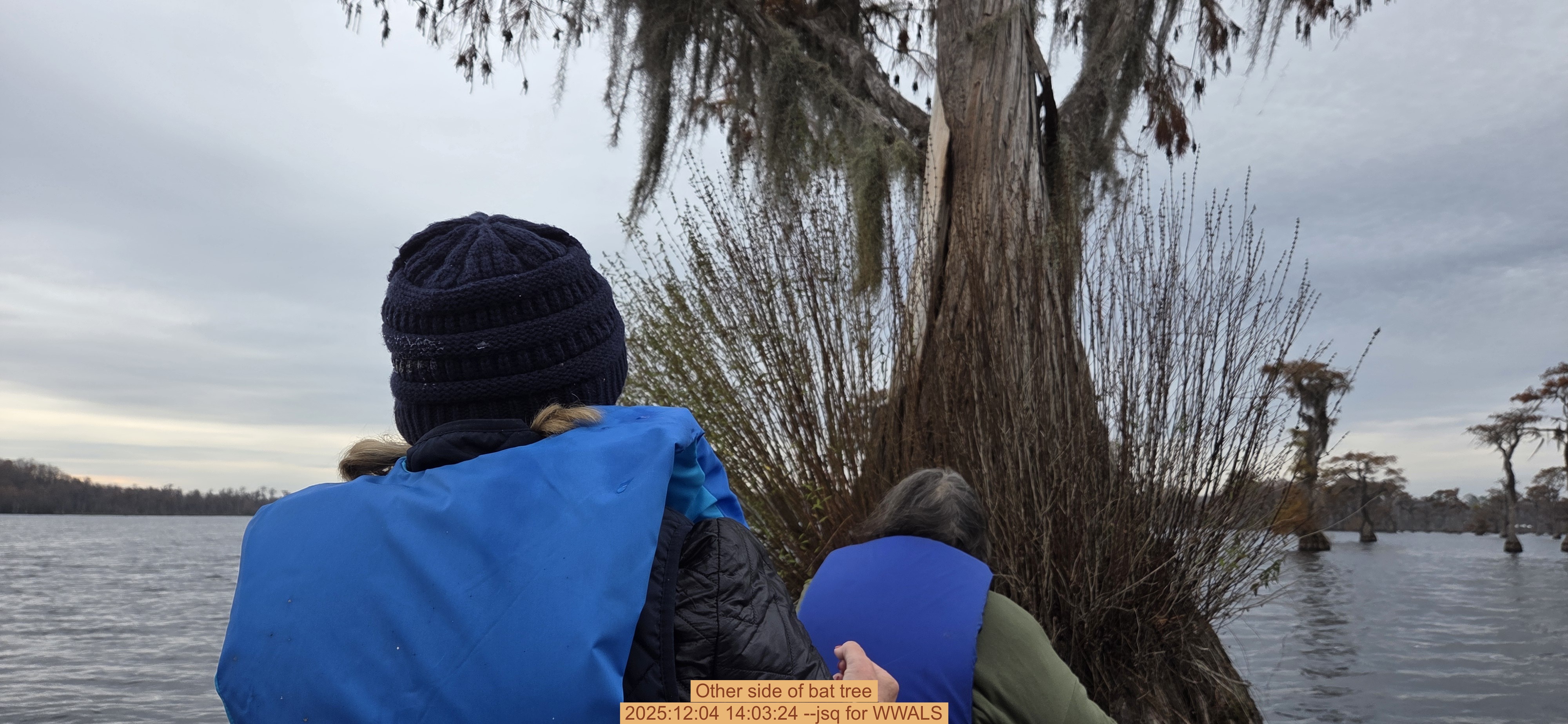 Other side of bat tree, 2025:12:04 14:03:24 --jsq for WWALS