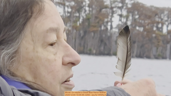 [Movie: Or maybe a Great Blue Heron feather, 2025:12:04 14:05:58 (32M) --jsq for WWALS]