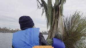 [Movie: Feathers from nest in bat tree, 2025:12:04 13:57:04, (37M) --jsq for WWALS]