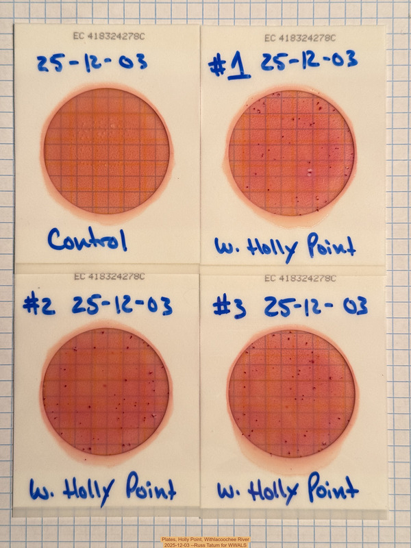 [Plates, Holly Point 2025-12-03 --Russ Tatum for WWALS]