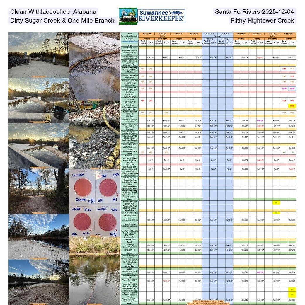 Clean Withlacoochee, Alapaha, & Santa Fe Rivers 2025-12-04, Dirty Sugar Creek & One Mile Branch, Filthy Hightower Creek