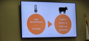 [High temperatures + Humidity means Negative impacts on cow health and productivity, 2025-12-09 --UFL @ SRWMD]