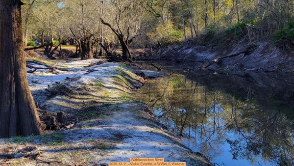 [Withlacoochee River, 2025-12-11 --Vickie Everitte, a WWALS Webinar]