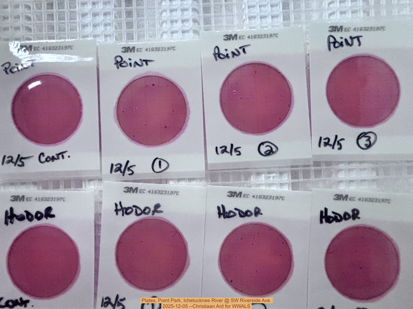 Plates, Point Park, Ichetucknee River @ SW Riverside Ave. 2025-12-05 --Christiaan Ard for WWALS