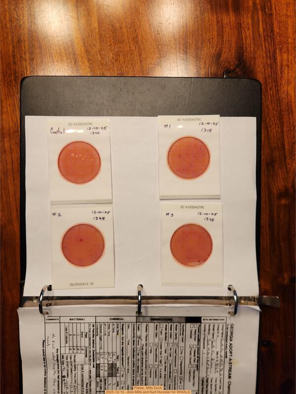 Plates, Mills Dock 2025-12-10 --Bob Mills and Kurt Hurzeler for WWALS