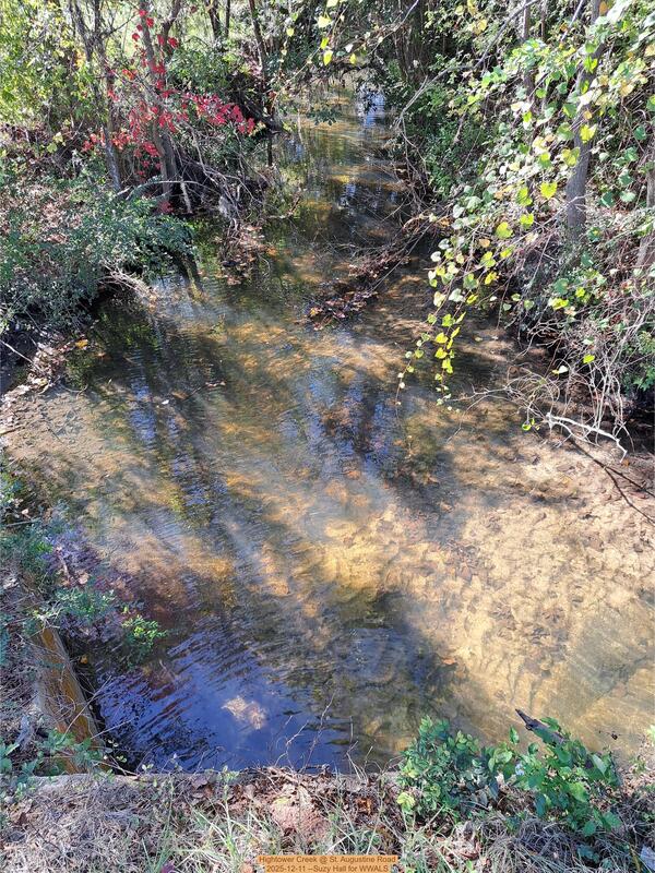 [Hightower Creek @ St. Augustine Road, 2025-12-11 --Suzy Hall for WWALS]