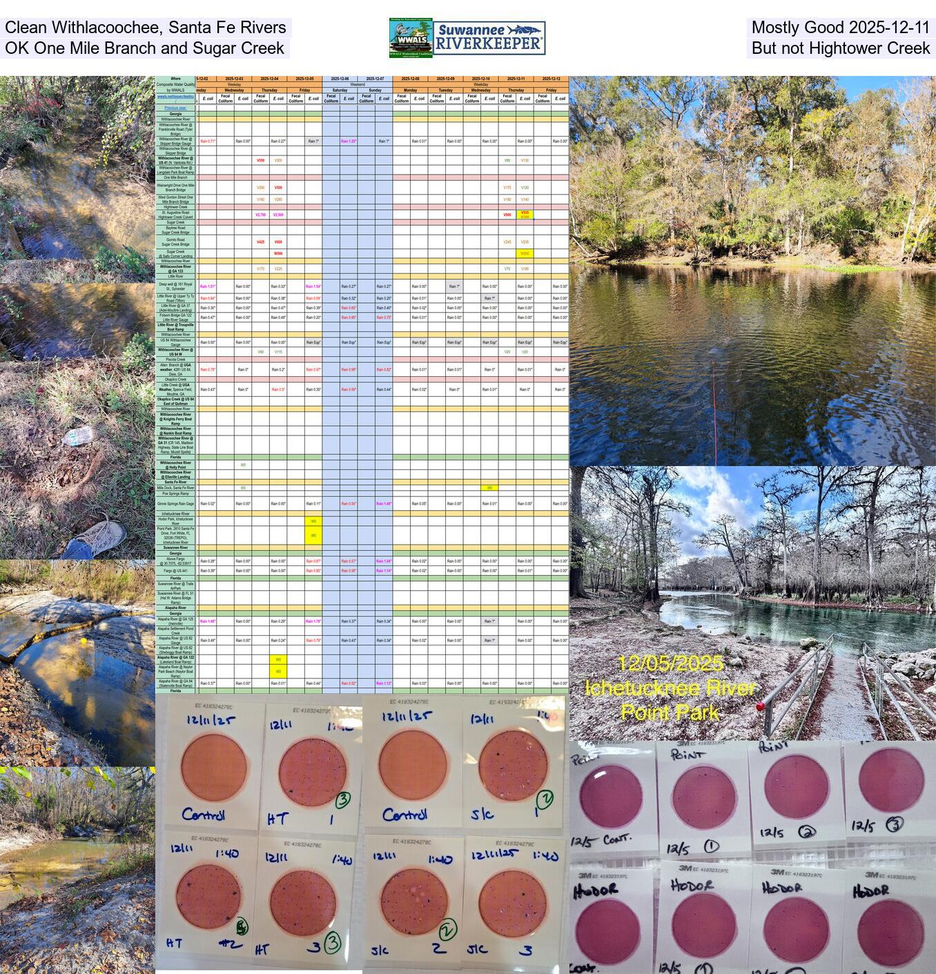 [Clean Withlacoochee, Santa Fe Rivers, Mostly Good 2025-12-11, OK One Mile Branch and Sugar Creek, But not Hightower Creek]