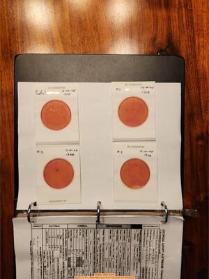 [Plates, Mills Dock 2025-12-10 --Bob Mills and Kurt Hurzeler for WWALS]