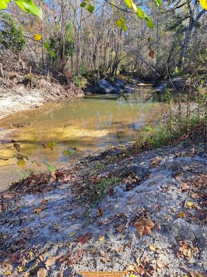 [Two Mile Branch, Sugar Creek @ WaterGoat 2025-12-11 --Suzy Hall for WWALS]