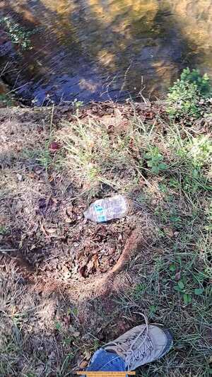 [Movie: Plastic bottle, Hightower Creek @ St. Augustine Road, 2025-12-11 --Suzy Hall for WWALS]