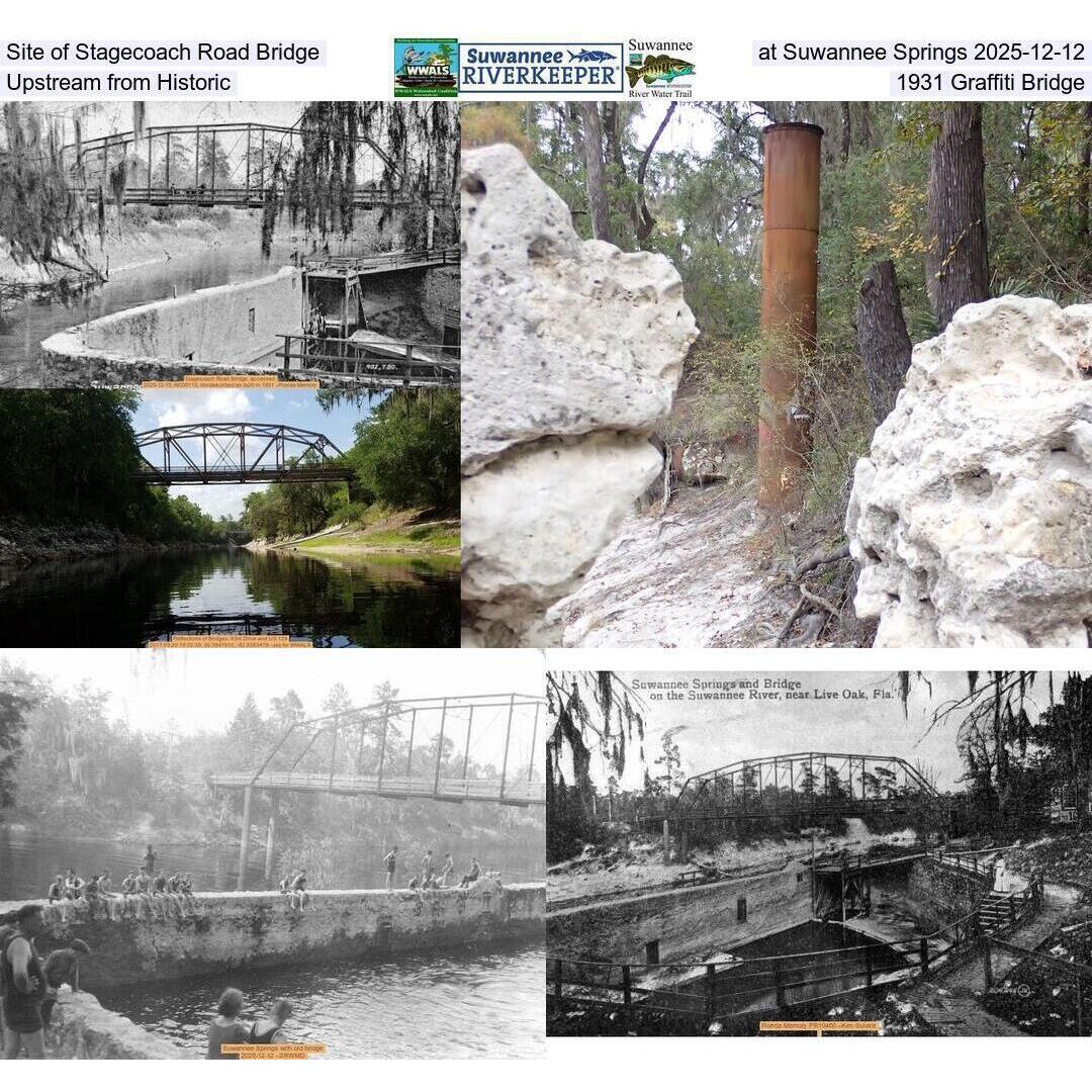 Site of Stagecoach Road Bridge at Suwannee Springs 2025-12-12, Upstream from Historic 1931 Graffiti Bridge