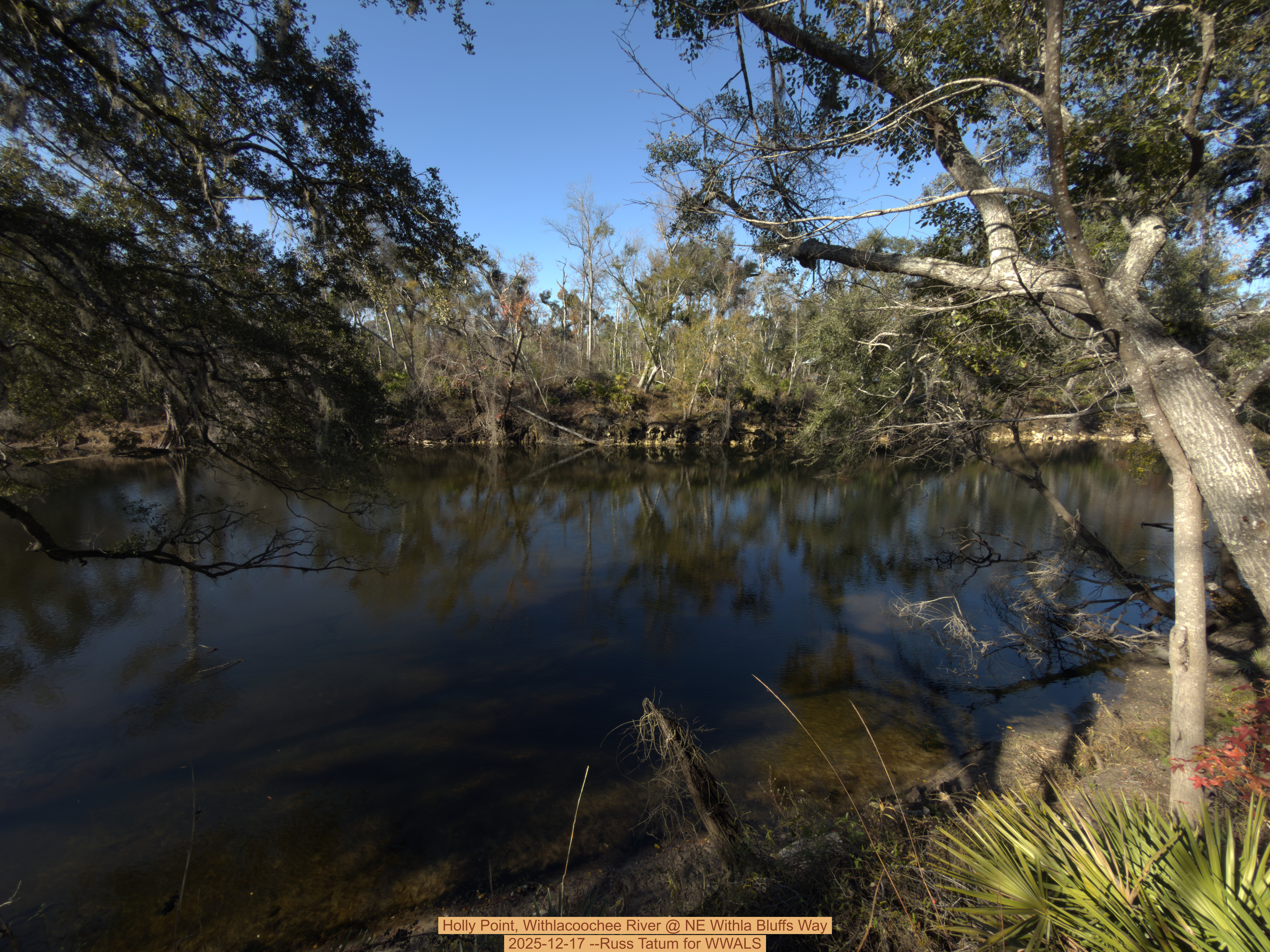 Holly Point, Withlacoochee River @ NE Withla Bluffs Way 2025-12-17 --Russ Tatum for WWALS