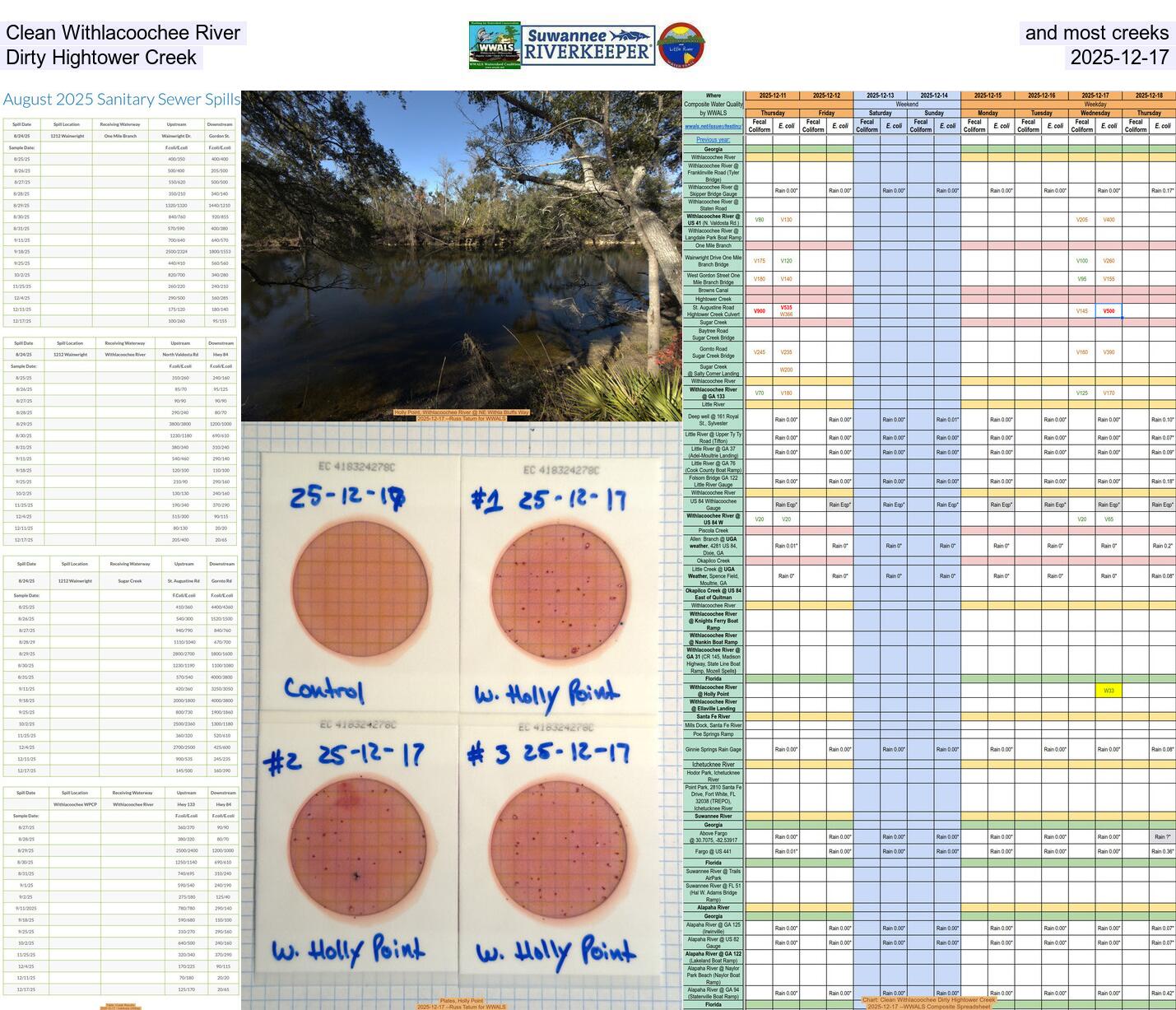 Clean Withlacoochee River and most creeks; Dirty Hightower Creek, 2025-12-17