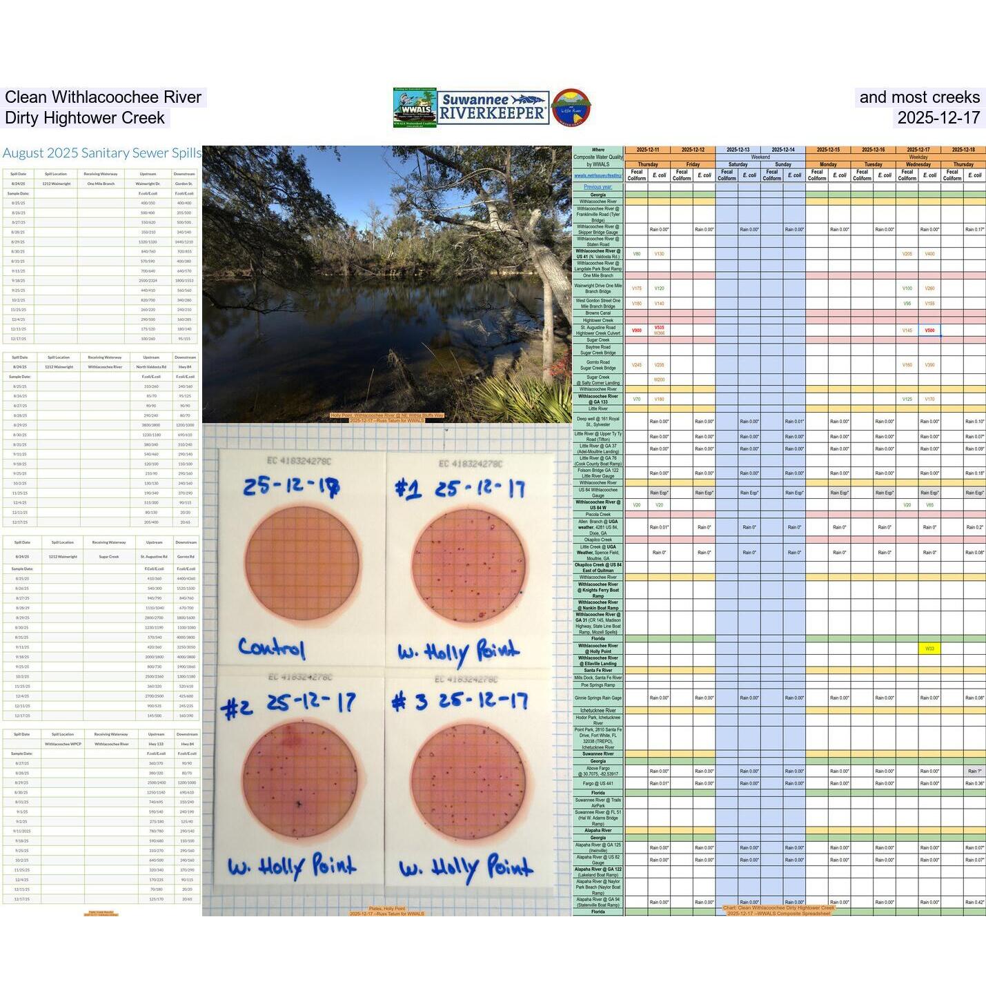 Clean Withlacoochee River and most creeks; Dirty Hightower Creek, 2025-12-17