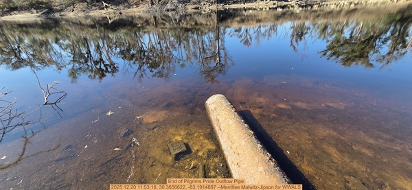 [End of Pilgrims Pride Outflow Pipe, 2025:12:20 11:53:16, 30.3656622, -83.1914887 --Merrillee Malwitz-Jipson for WWALS]