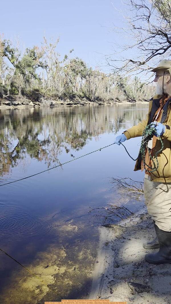 [Movie: Sampling upstream from the Pilgrims Pride Pipe, 2025:12:20 11:58:36, 30.3657478, -83.1915831 (218M) --Merrillee Malwitz-Jipson for WWALS]
