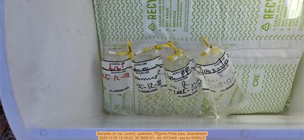 [Samples on ice: control, upstream, Pilgrims Pride pipe, downstream, 2025:12:20 12:18:02, 30.3658151, -83.1912449 --jsq for WWALS]