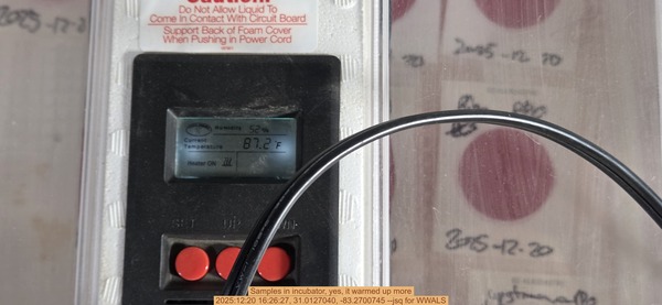 [Samples in incubator, yes, it warmed up more, 2025:12:20 16:26:27, 31.0127040, -83.2700745 --jsq for WWALS]